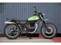 ‚e‚w‚c‚a 250TR@ƒJƒXƒ^ƒ€
